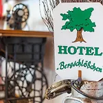 Hotel Bergschloesschen 3*