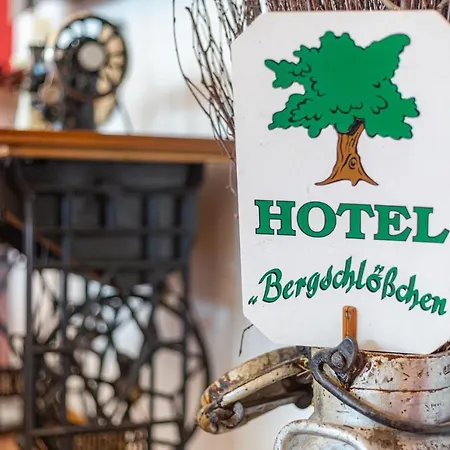 فندق Bergschloesschen 3*