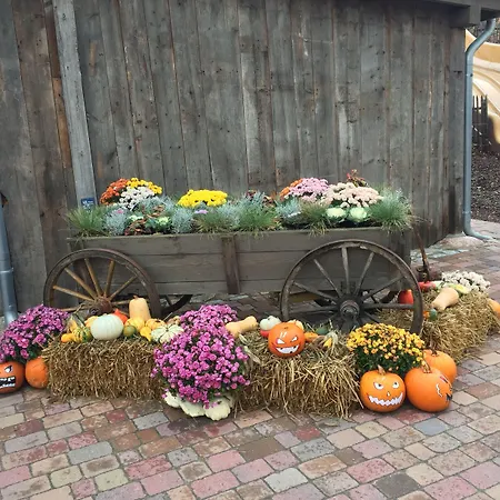 Hotel Bergschloesschen 3*